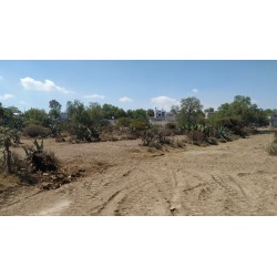 Se vende terreno en Tecámatl, San Agustin Tlaxica, Hidalgo